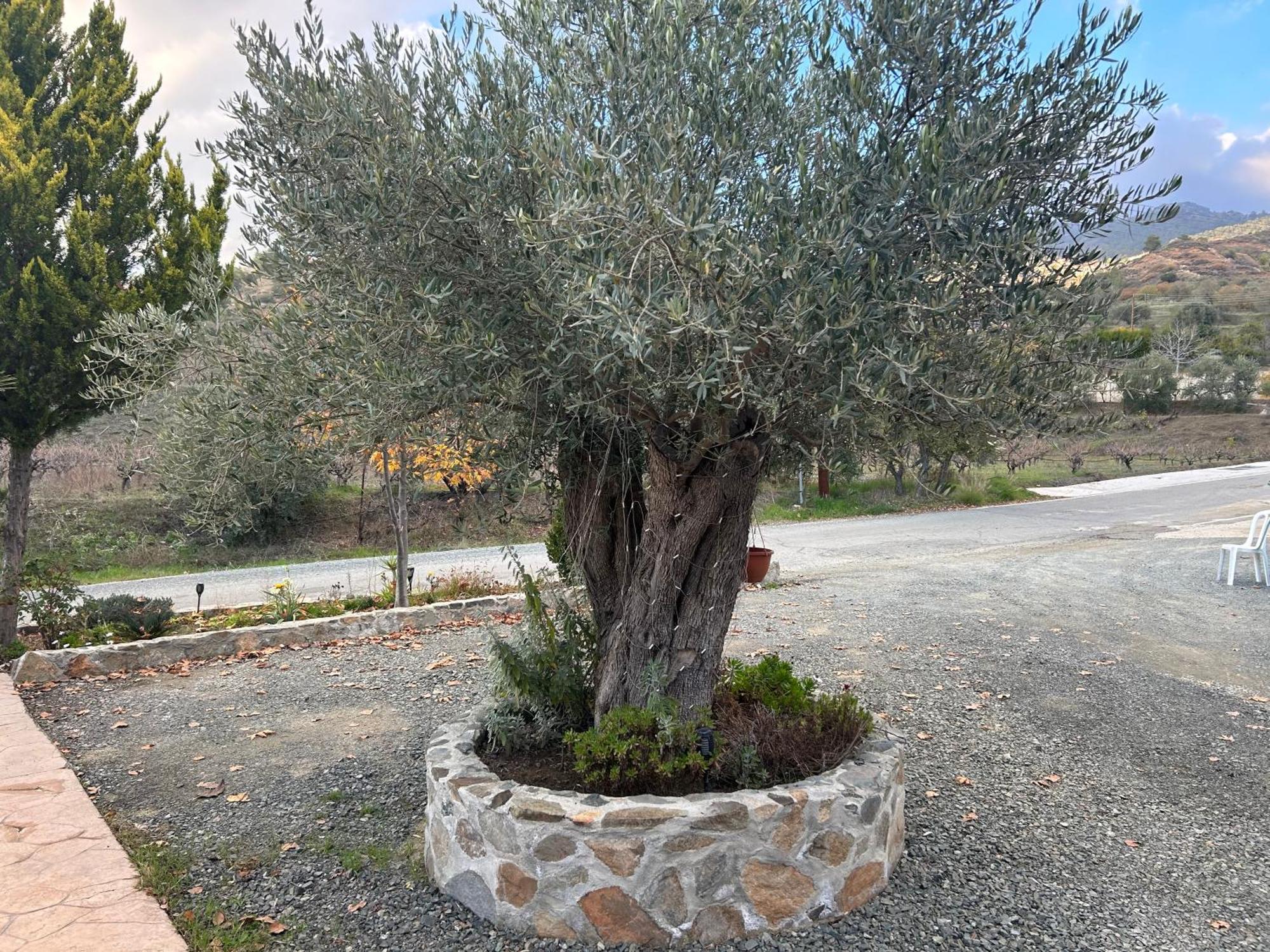 Sofros Valley Hills Chalet Agios Mamas Екстериор снимка