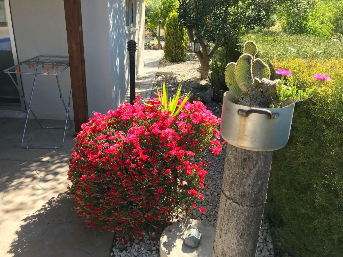 Sofros Valley Hills Chalet Agios Mamas Екстериор снимка